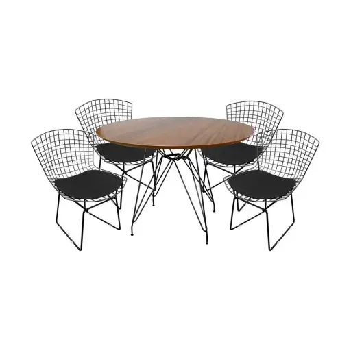 Mesas e Cadeiras Bertoia